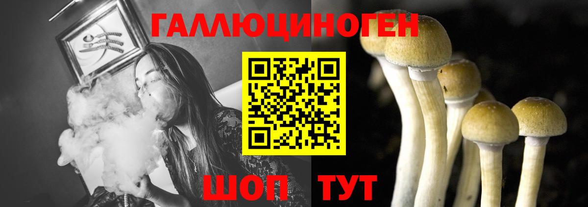 Псилоцибиновые грибы прущие грибы  Псилоцибиновые грибы MAGIC MUSHROOMS  Вход с VPN  Долгопрудный 